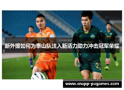 新外援如何为泰山队注入新活力助力冲击冠军荣耀 新外援如何为泰山队注入新活力助力冲击冠军荣耀
