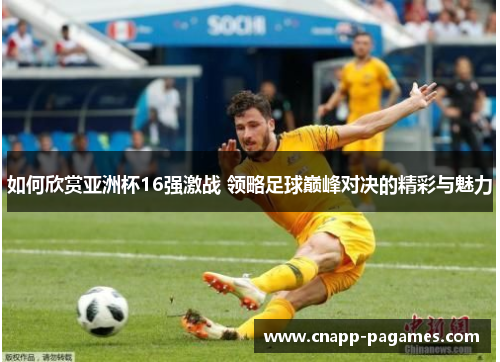 如何欣赏亚洲杯16强激战 领略足球巅峰对决的精彩与魅力 如何欣赏亚洲杯16强激战 领略足球巅峰对决的精彩与魅力