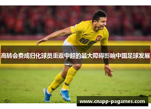 高转会费成归化球员重返中超的最大障碍影响中国足球发展