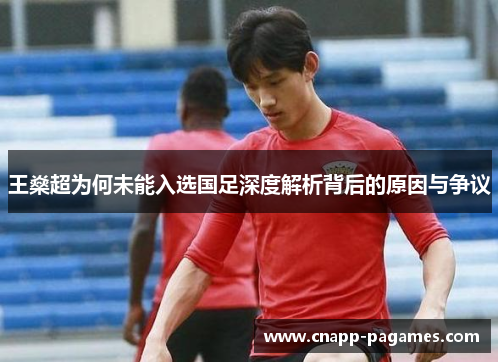 王燊超为何未能入选国足深度解析背后的原因与争议