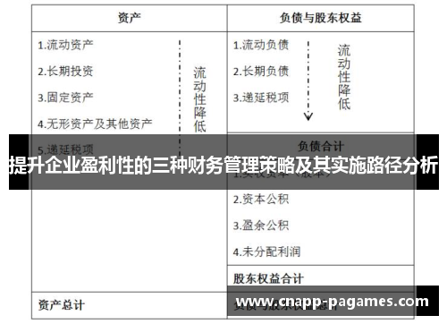 提升企业盈利性的三种财务管理策略及其实施路径分析