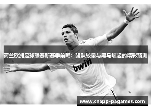 荷兰欧洲足球联赛新赛季前瞻：强队较量与黑马崛起的精彩预测
