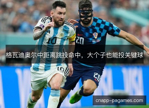 格瓦迪奥尔中距离跳投命中，大个子也能投关键球